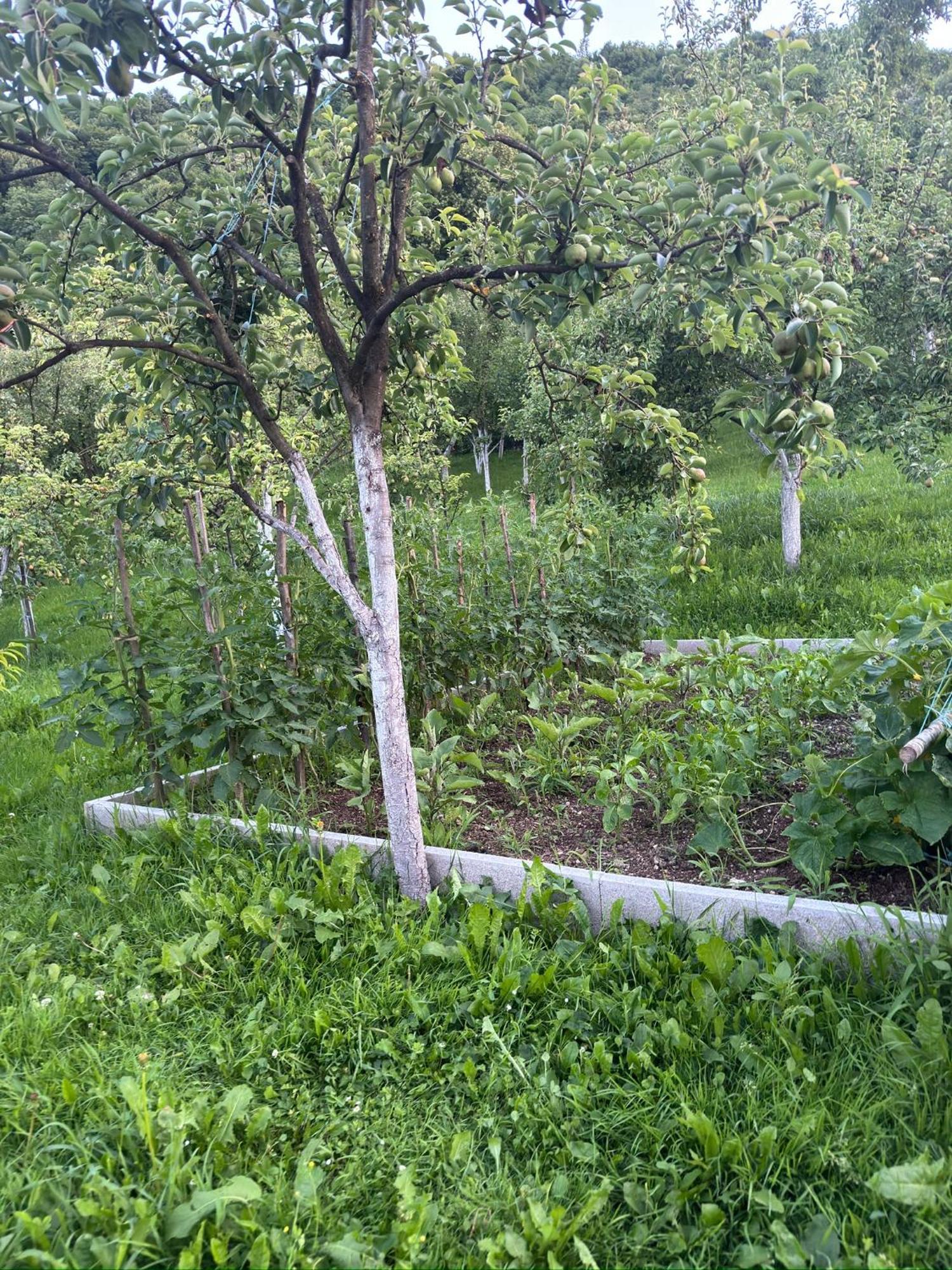 Bihać Resting House Oaza 빌라 외부 사진